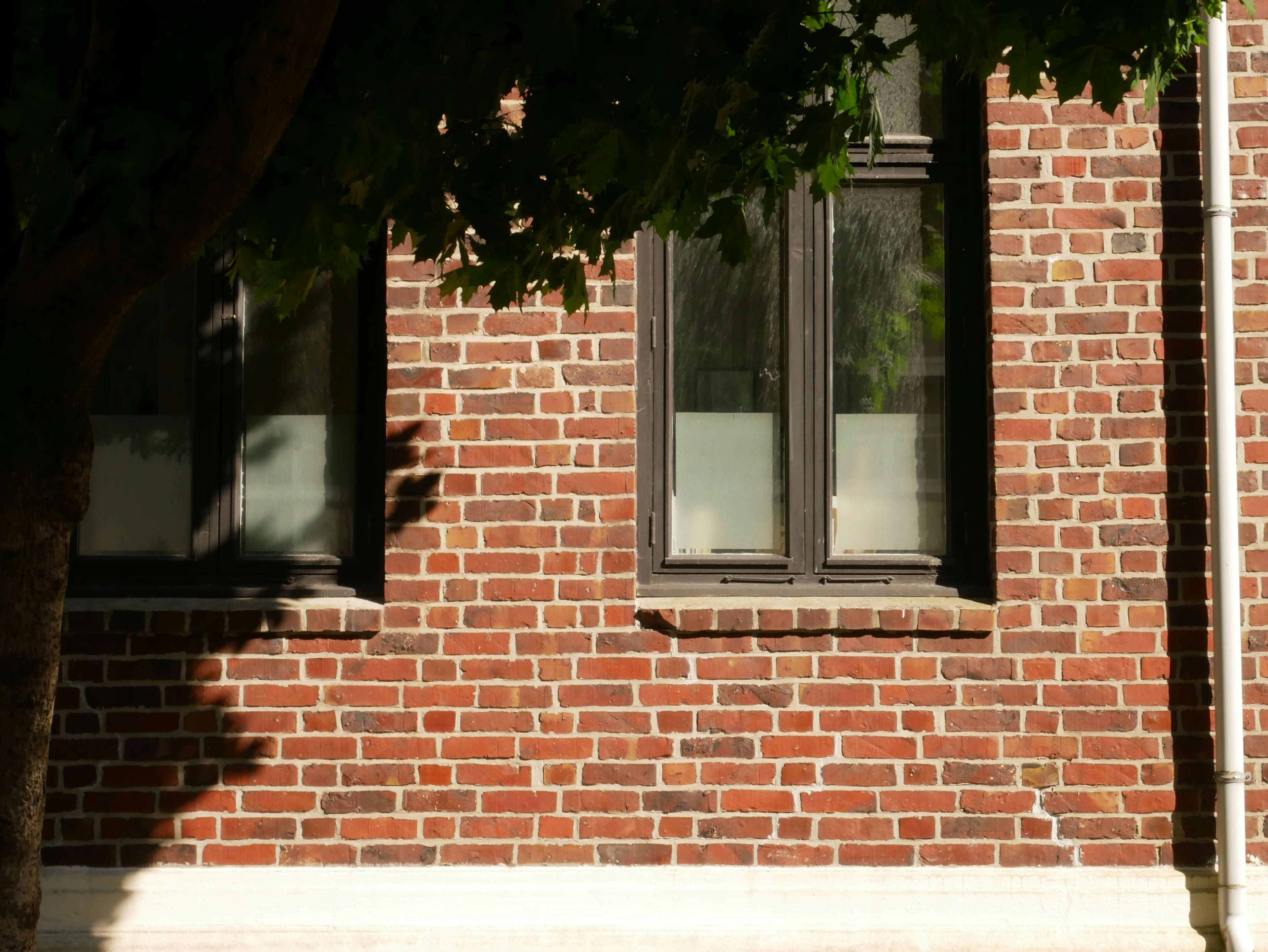 Brick facade with windows and tree shadow